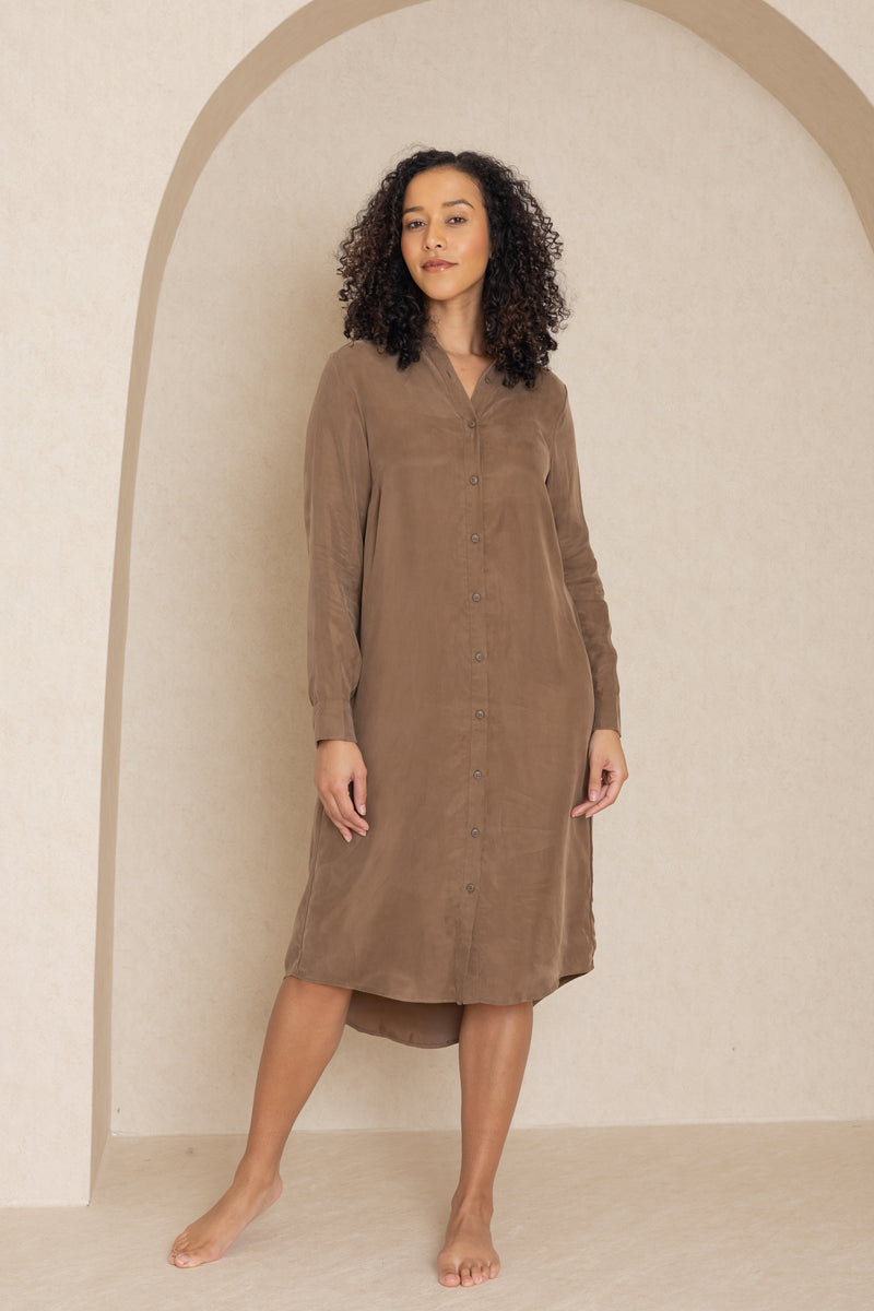 Brown Shirt Dress