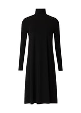 Black Turtleneck Dress